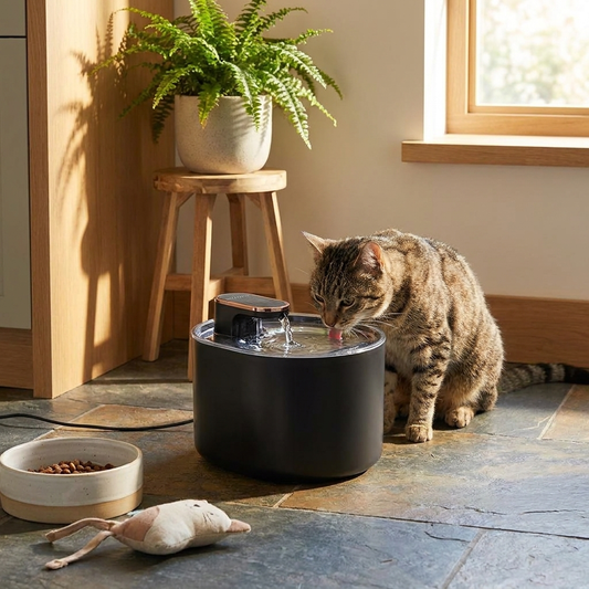 Pet Auto Water Fountain lifestyle